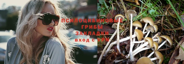 первитин Абинск