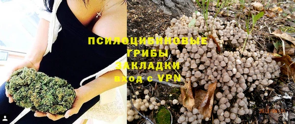 первитин Абинск