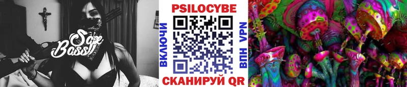 блэк спрут   Майский  Псилоцибиновые грибы Psilocybine cubensis 