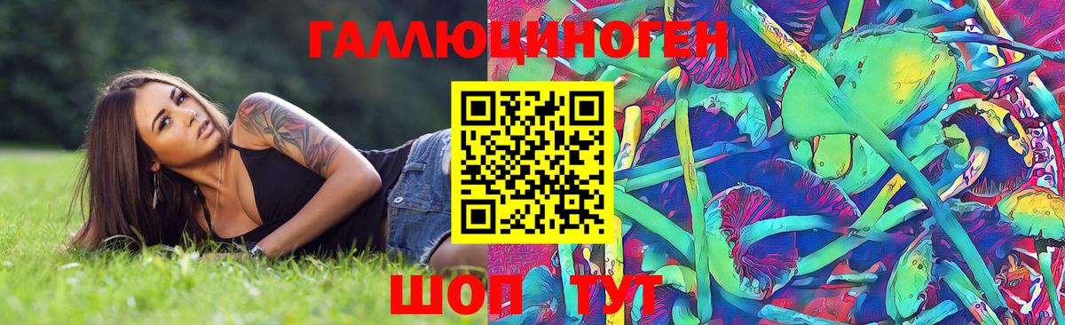 Галлюциногенные грибы Psilocybine cubensis Майский
